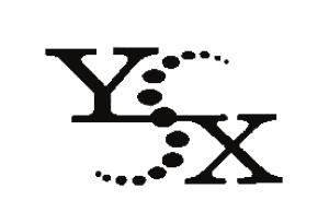 Y.S.X